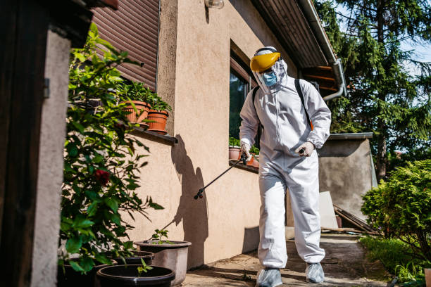 Best Cockroach Control Services  in Pine Level, AL