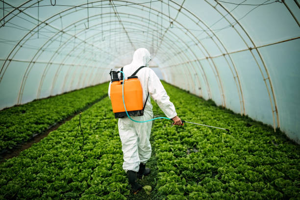 Best Best Pest Control Near Me  in Pine Level, AL