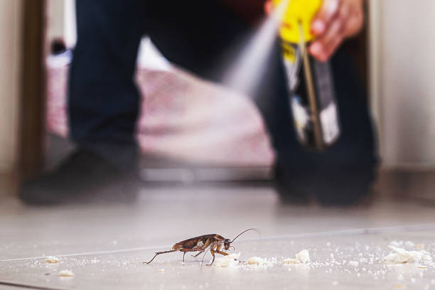 Best Exterminator Services  in Pine Level, AL