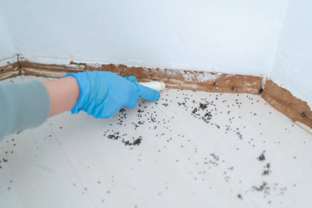 Pest Control for Restaurants in Pine Level, AL