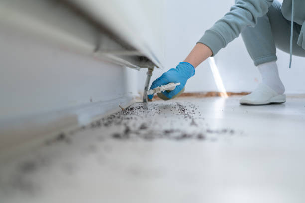 Best Best Pest Control Companies  in Pine Level, AL